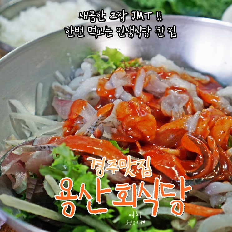  경주맛집 용산회식당 인생식당 찜ෆ