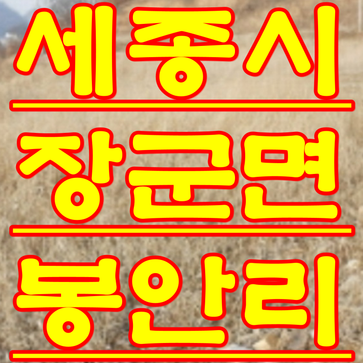  세종시 경매 물건 장군면 봉안리 토지 경매 물건 2018 타경 817