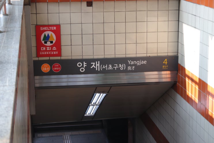  양재역 맛집 가성비 좋은 '미카도스시'