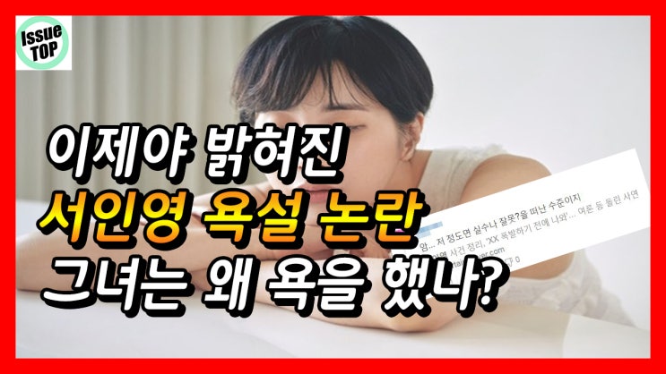  서인영 욕설 논란 그녀가 욕설을 한 이유는?