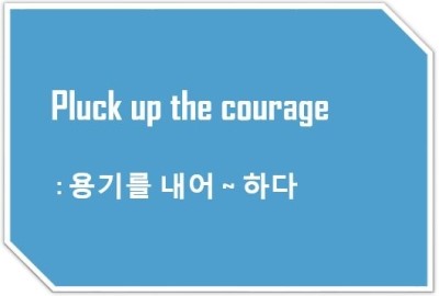 [영어표현] Pluck up the courage - 용기내어 ~하다