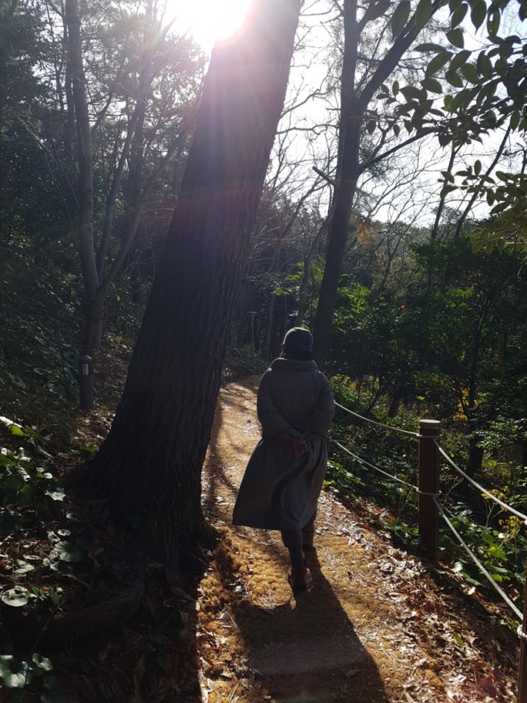 한라수목원_12월5일