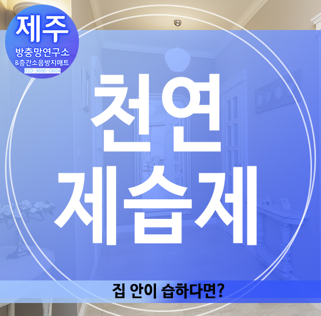  천연제습제, 집 안이 습하다면?