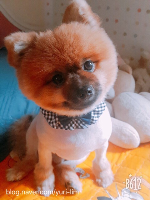  오페라 오페라 오페랄 랄라라~