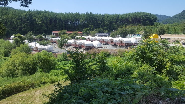  청도 봉식이놀이터