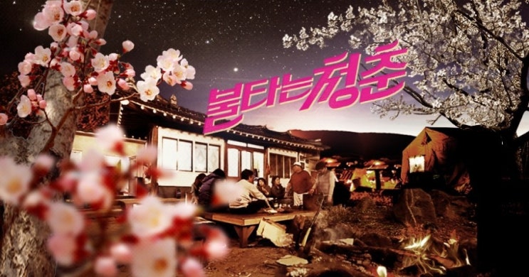  노니 쇳가루 논란, 불타는 청춘 양수경, 한정수