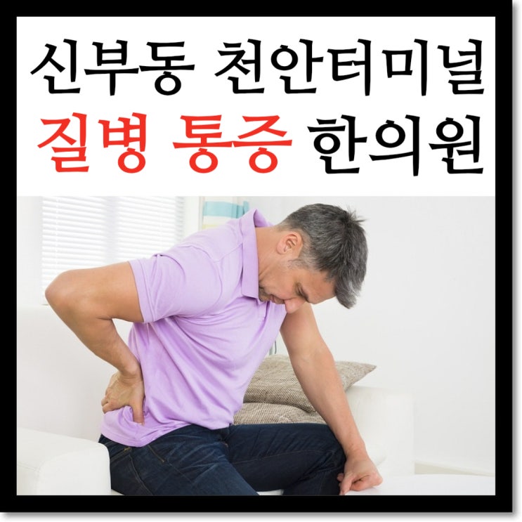 천안터미널 한의원 나래 : 통증, 질병 치료 중심 : 한방내과, 한방외과