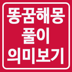 똥꿈 해몽 검은똥꿈 변기에 똥 꿈 정확한 의미 풀어서 보자