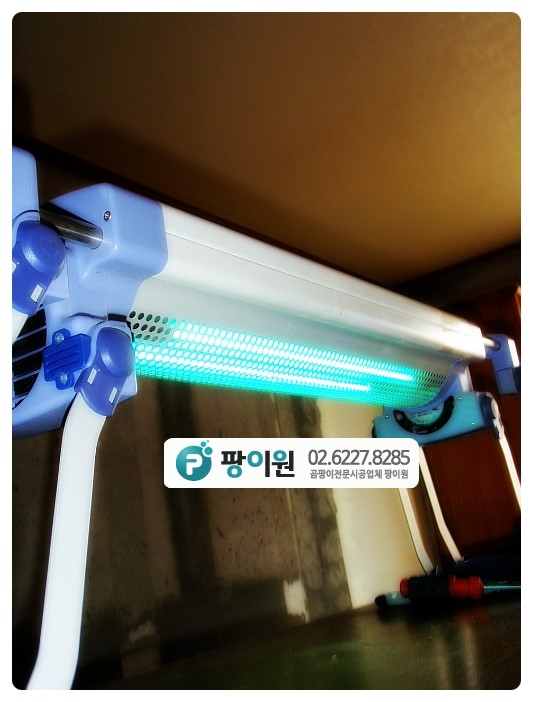 실크 벽지 곰팡이제거 할때?