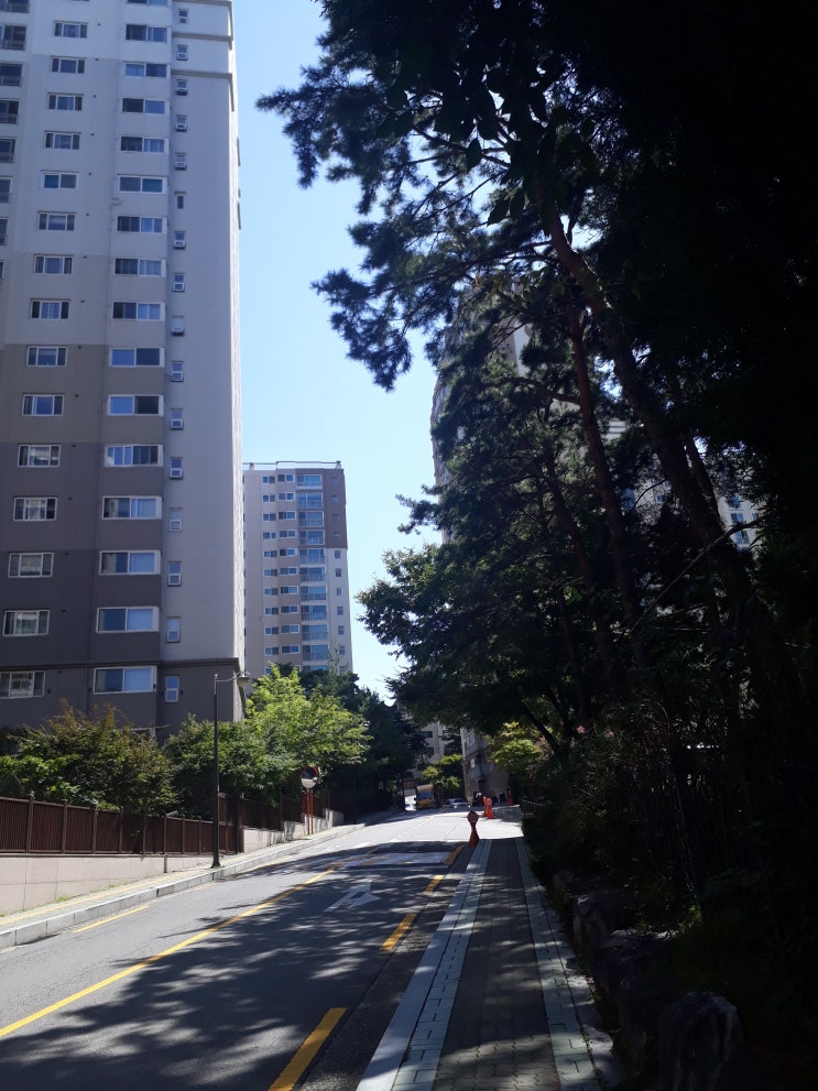  삼성동 석탑아파트              명성부동산 573-3489