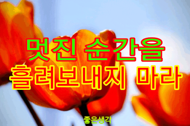  멋진 순간을 흘려보내지 마라