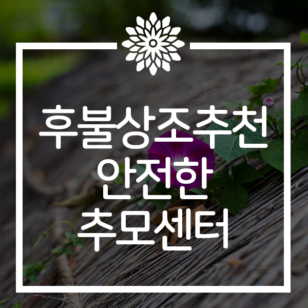 후불상조추천 검증받아 안전하게 추모센터