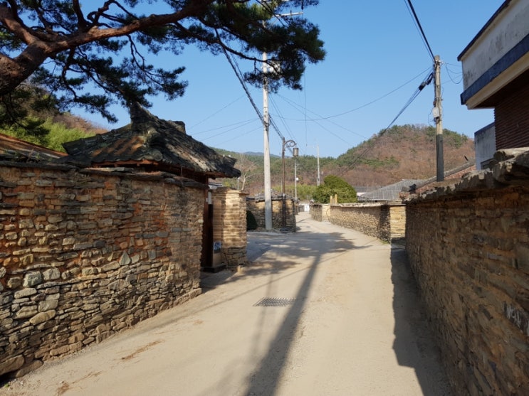  고성 학동마을 옛담장길 