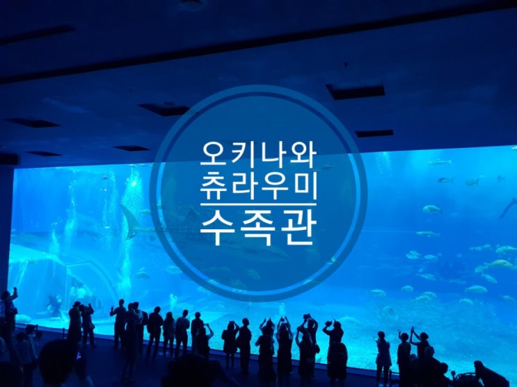 츄라우미 수족관 아이들이 좋아하는 오키나와필수코스 츄라우미 수족관 아이들이 좋아하는 오키나와필수코스