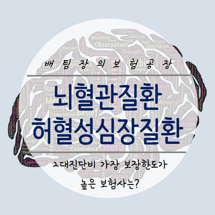  뇌혈관질환 보험 가장 현명하게 가입하는 방법. 가장 보장 한도가 높은 보험사는?