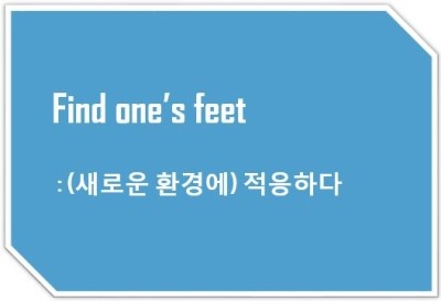 [영어표현] Find one's feet : (새로운 환경에) 적응하다