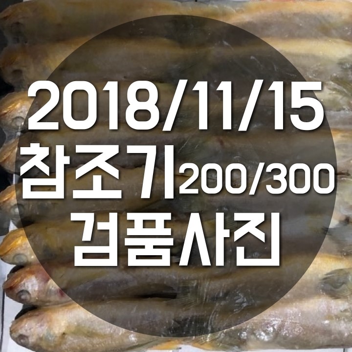 밝은무역 냉동수산물 2018/11/15 참조기 200/300 검품사진