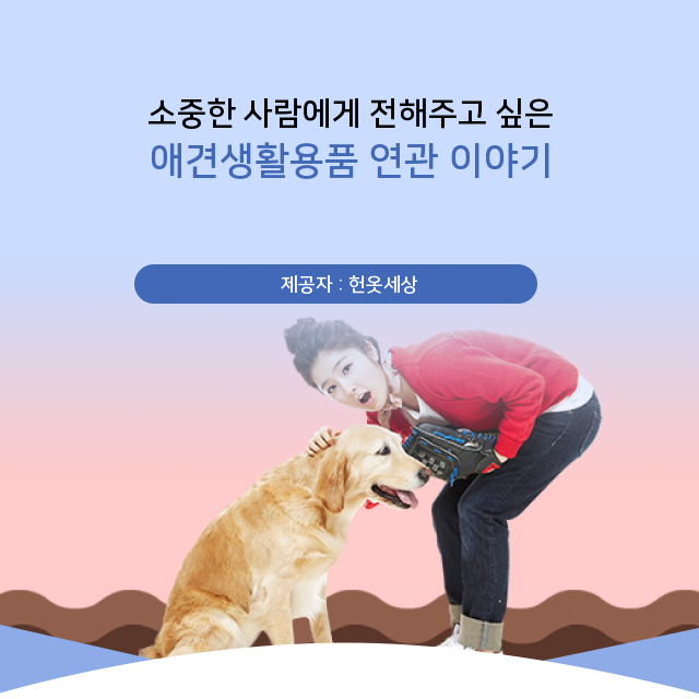  광주헌옷버리기 읽을수록 흥미로운 애견생활용품 관련 정보