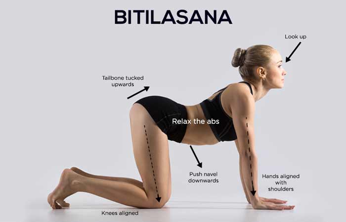  민망한 요가자세 시리즈2 고양이-소자세( Marjaryasana-Bitilasana) 알아보자