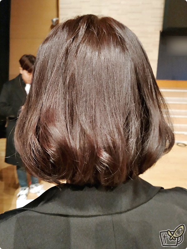  가로수길 미용실 준오헤어 커트 & 염색