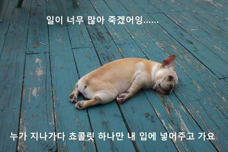  직구 사이트 추가 예정 @ 쿠펀
