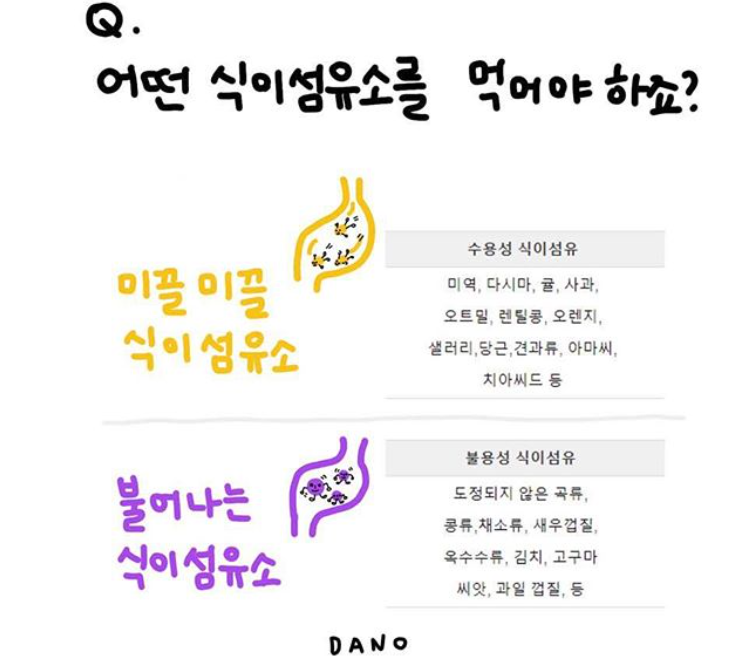 식이섬유 다이어트 효능 01