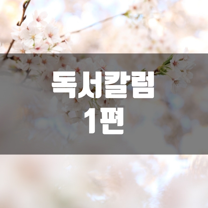 독서 초보 탈출 - 1편