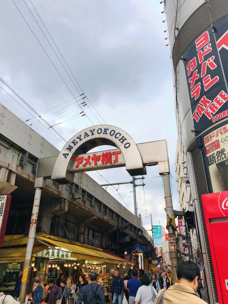 도쿄여행 #5 | 우에노역 코인락커, 우에노 공원 스타벅스, 아련하게 보기만 한 뭉크전.., 아메야요코초, 나리타 공항 카드 되는  규동집 요시노야 : 네이버 블로그