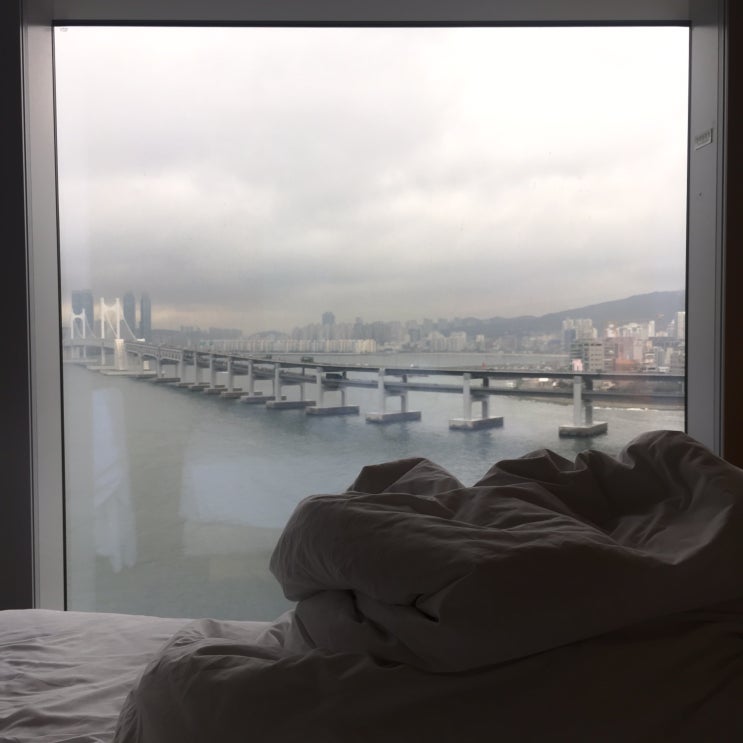  [여행 블로그] 부산 여행 2일차 - 신세카이키친, 그라모카페 다녀옴!