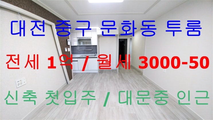 문화동신축투룸/문화동투룸/대문중투룸/문화동투룸전세/대전중구투룸/대전중구신축