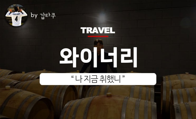  바르셀로나 와이너리투어, 팔로우미투어와 현지 와인 마시기!