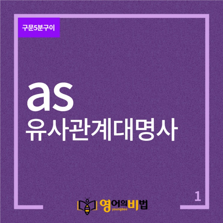  유사관계대명사 as (than,but,영비5분구이)