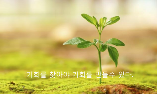  ok저축은행 햇살론 꼼꼼하게 비교