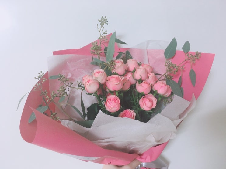  신혼일기 18> 늦은 단풍 구경, 겨울맞이, 내 생일