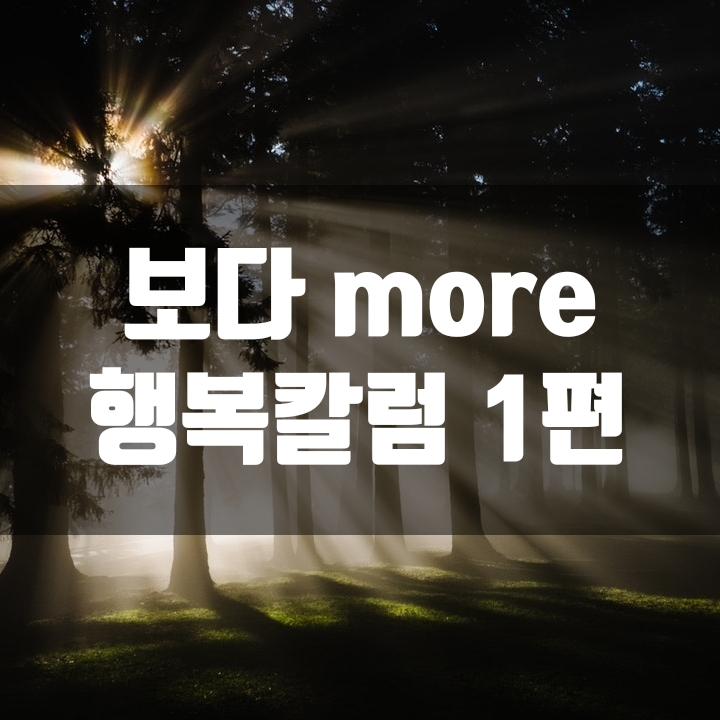  XY축 위의 점 그리고 우리(블로그 소개) - 1편
