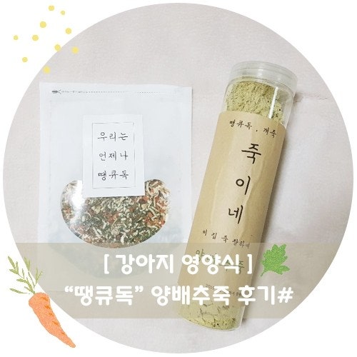 사진 3