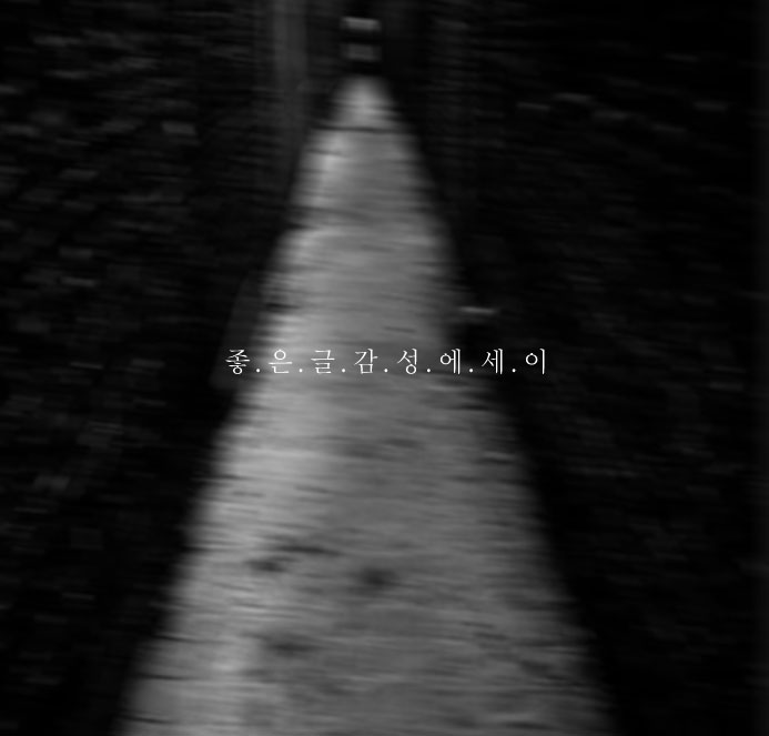  남자친구에 나온 시 그리움 / 꽃을 보듯 너를 본다 - 나태주