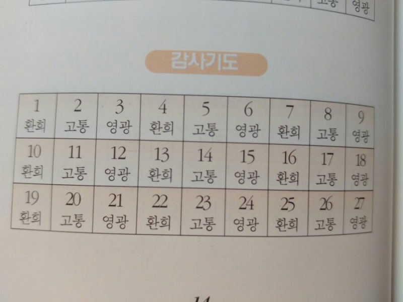 묵주기도로 드리는 9일기도(54일기도) ㅡ 고통의 신비(청원과 감사기도) : 네이버 블로그