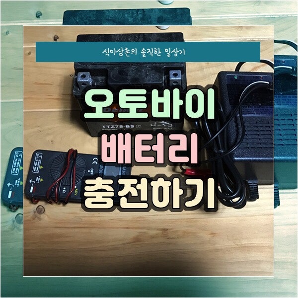 방전된 오토바이 충전하기, 충전기로 배터리 충전하는 Tip