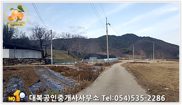  상주시 외서면 백전리 답(畓)