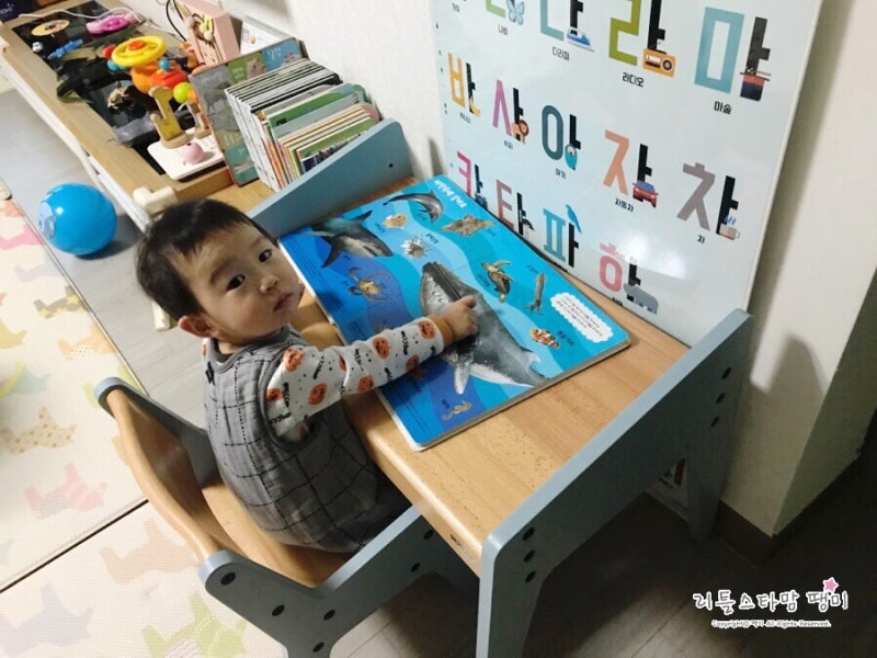 유아책상 세이지폴 유아책상세트 추천