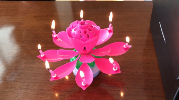  <인싸템/연꽃초> 연꽃 생일초 후기(멜로디 끄는법)