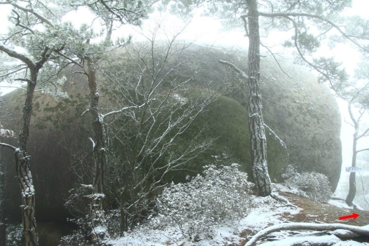 월악산 국립공원 가은산 첫눈 산행(2018. 12. 6.) 5/7편