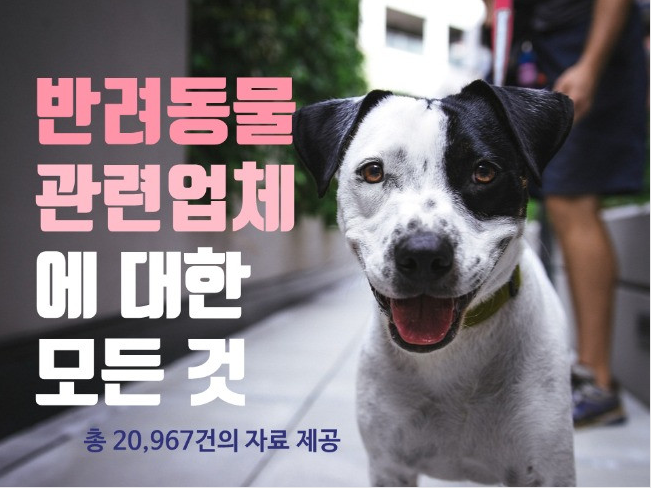  재능마켓 " 크몽" " 국내 반려동물 관련업체 "사업자 DB, 사업자 주소록 전화번호부" 서비스제공