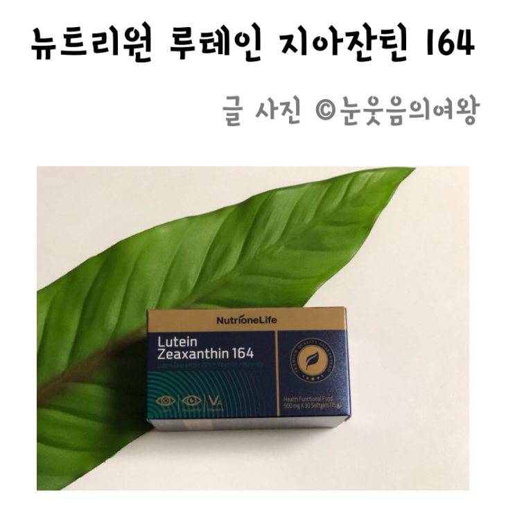  뉴트리원 루테인 지아잔틴164 롯데홈쇼핑에서 만나요