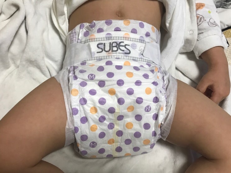  슈베스기저귀 노블래스 밴드형 기저귀추천