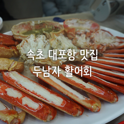  속초 대포항 맛집 / 두남자활어회
