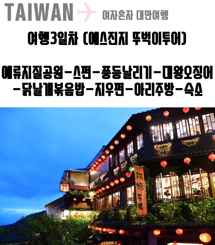  [여자혼자 대만여행] 대만 4박5일여행 3일차 예스진지 뚜벅이투어 (예류지질공원-스펀-천등날리기-대왕오징어-닭날개볶음밥-지우펀-아리주방)