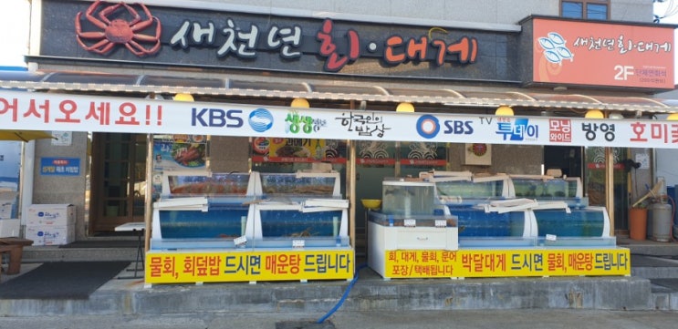  포항 구룡포 호미곶 새천년물회집에 다녀왔어요~