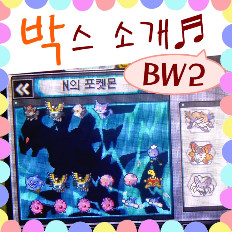  포켓몬스터 블랙2 화이트2 박스 정리